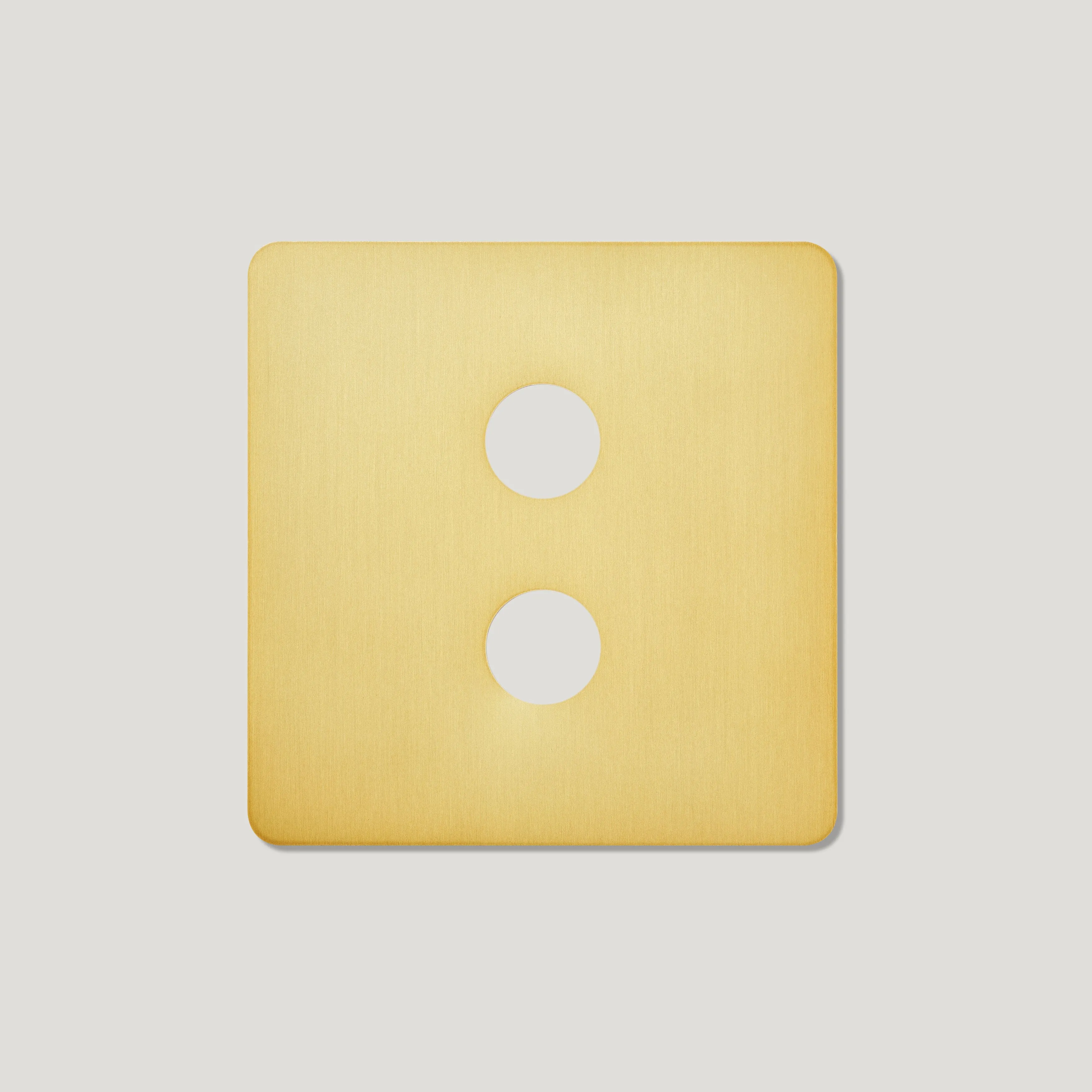 2G Dimmer Plate - Brass