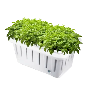 Hydroponic Grow System - 16