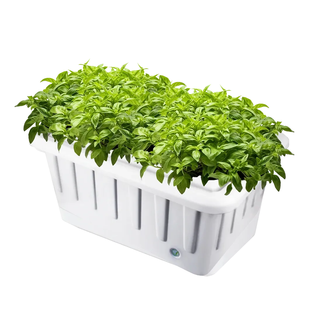 Hydroponic Grow System - 16